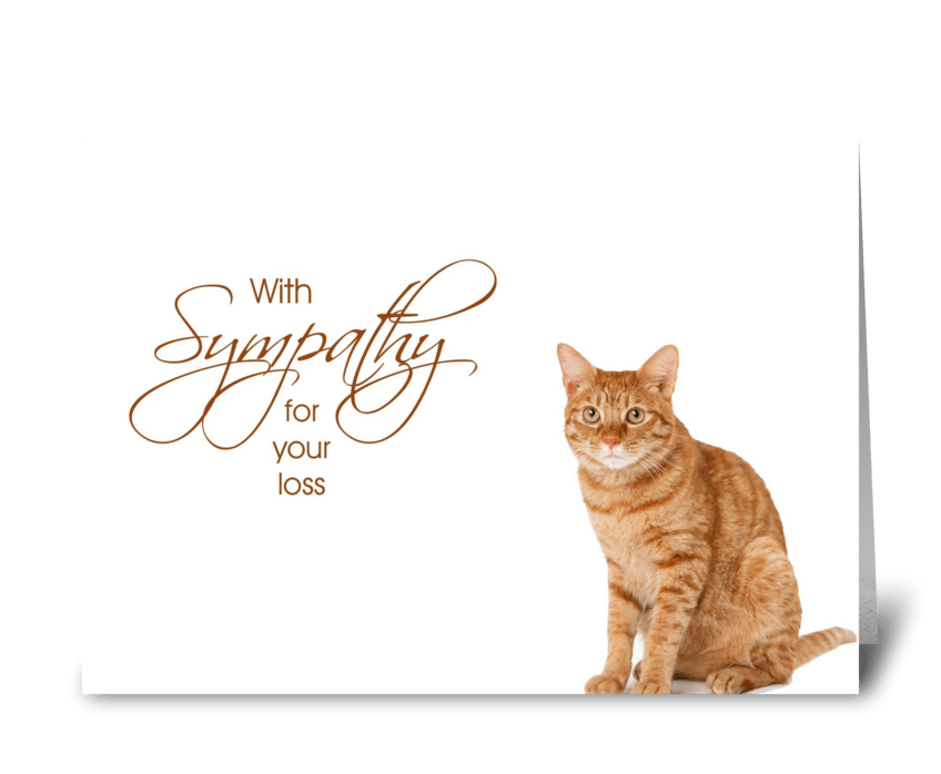 with-sympathy-loss-of-cat-send-this-greeting-card-designed-by